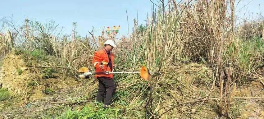 四望镇防患于未燃.docx