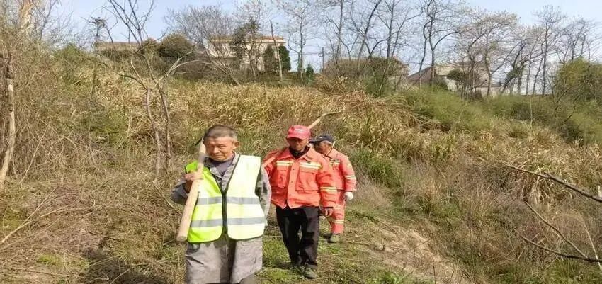 四望镇防患于未燃.docx