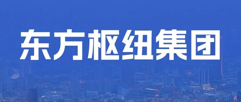 东方枢纽集团社招