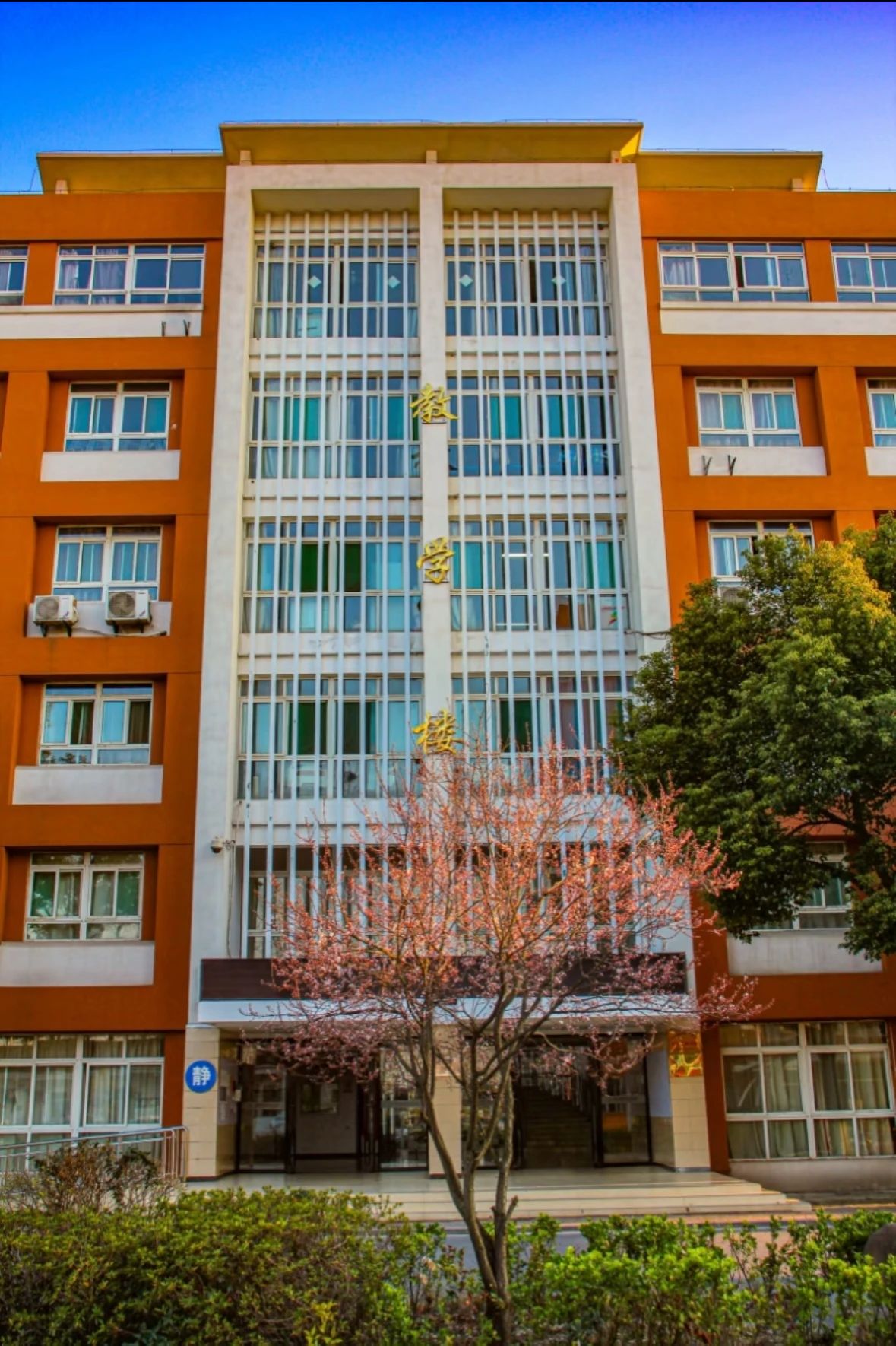 合肥醫藥衛生學校中專官網-合肥衛校五年制護理學大專-圖2