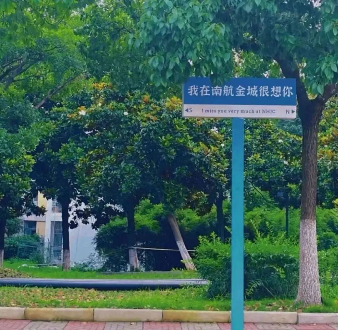 南京航空航天大學(xué)全日制自考本科：專(zhuān)科應(yīng)屆生的升學(xué)黃金橋-圖3