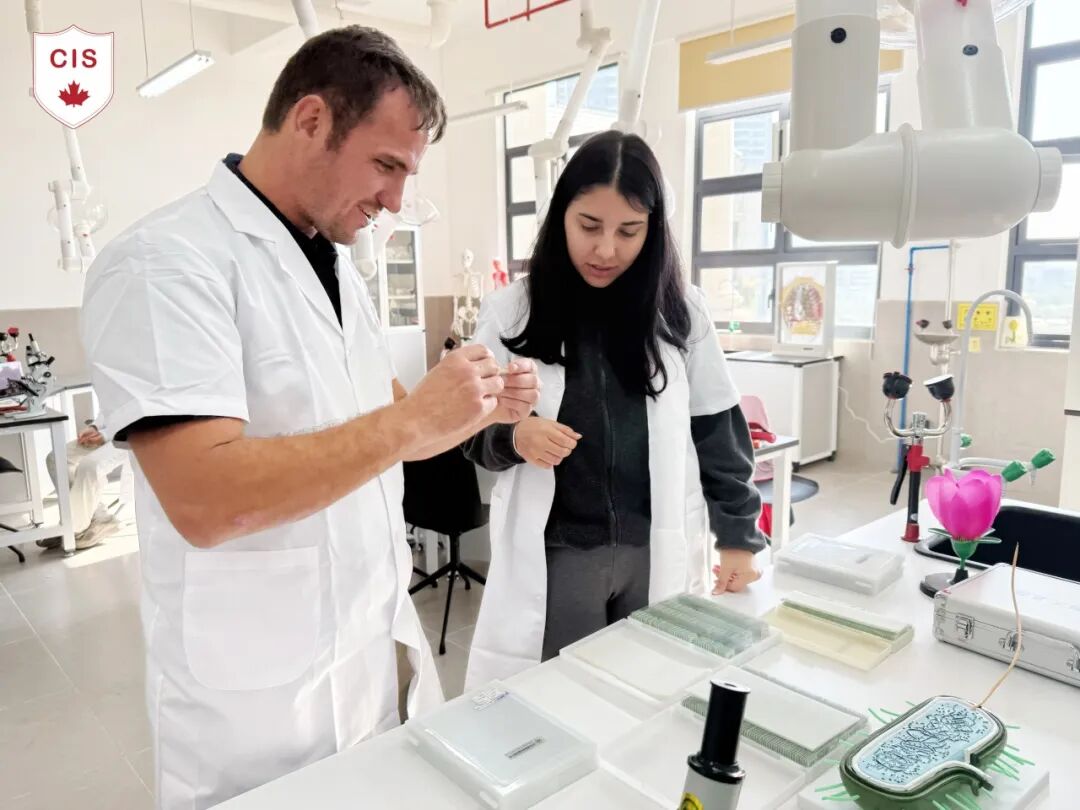微信图片_20250212125119