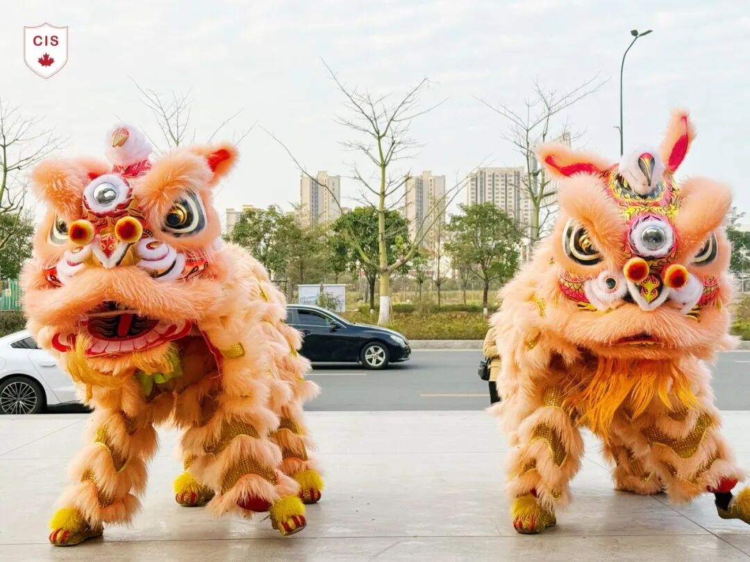 微信图片_20250212125647