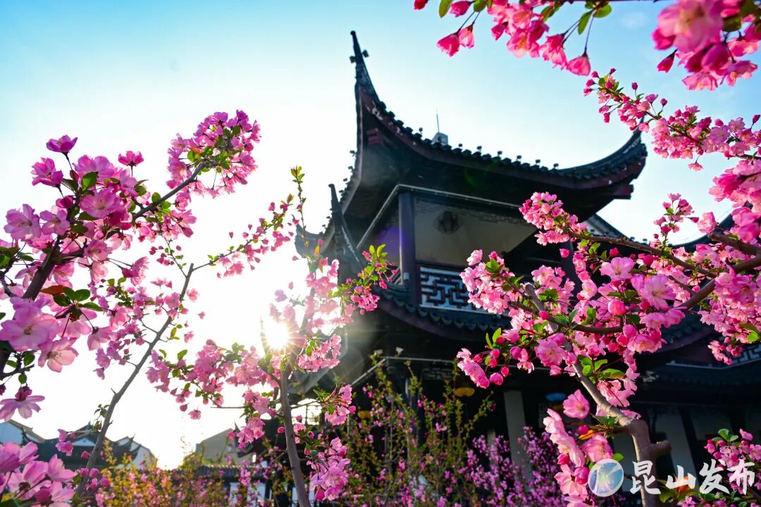 微信图片_20260328173932_17339_70.jpg