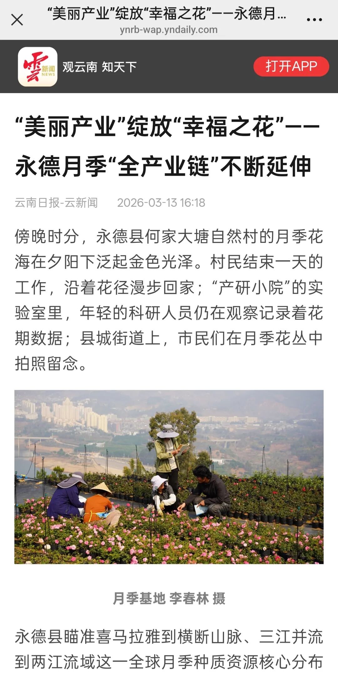 云南日报-云新闻2.jpg