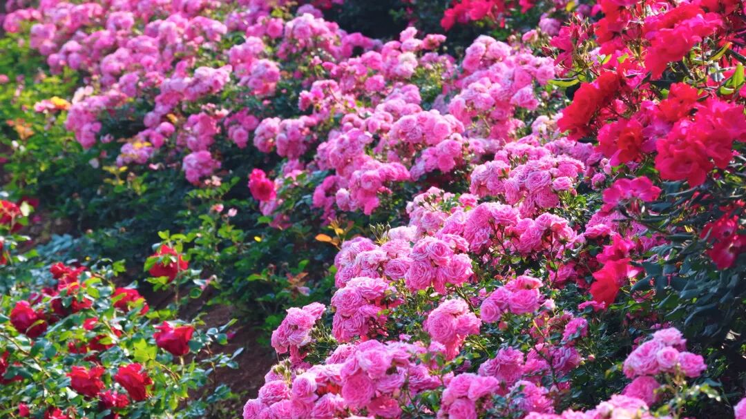 4月23日(18).jpg