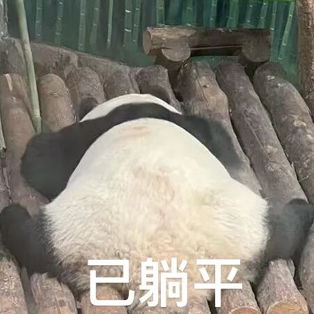 大哥豪刷200w，惨遭女主播背刺，女主播跟男主播好上了，大哥成小丑了！