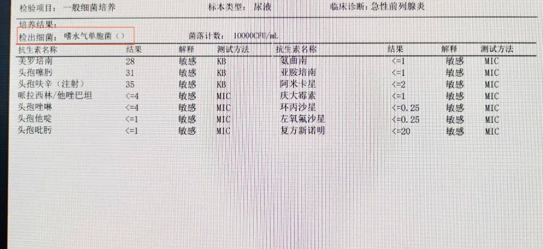 前列腺液报告单图片