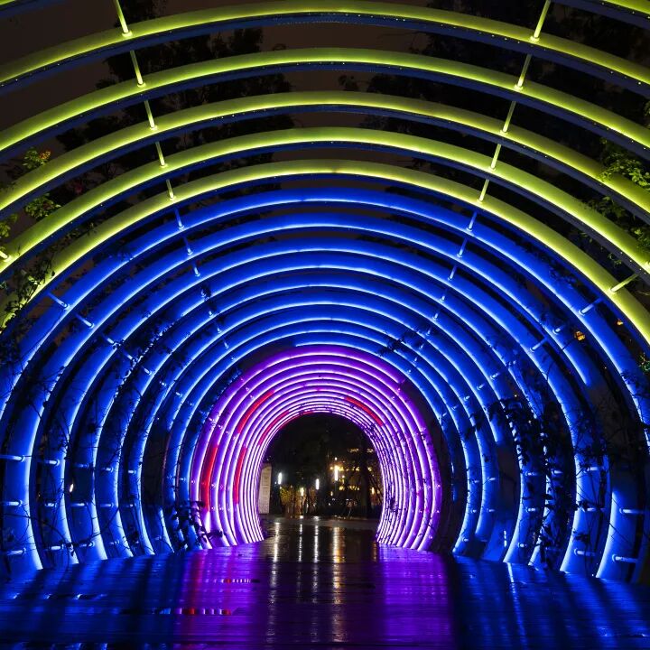 新金牛公园的夜，邀你赴一场「追光之约」插图6