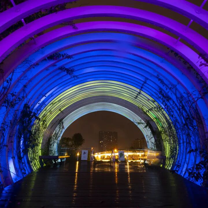 新金牛公园的夜，邀你赴一场「追光之约」插图4