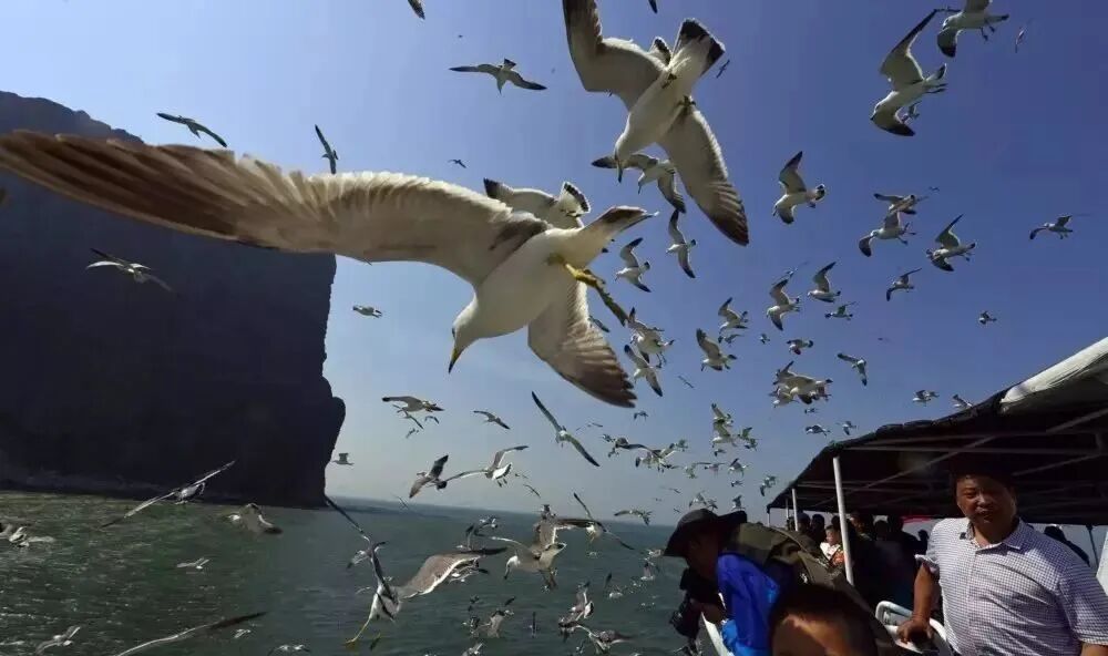 长岛船票_长岛船票区别_长岛船票多少钱一张