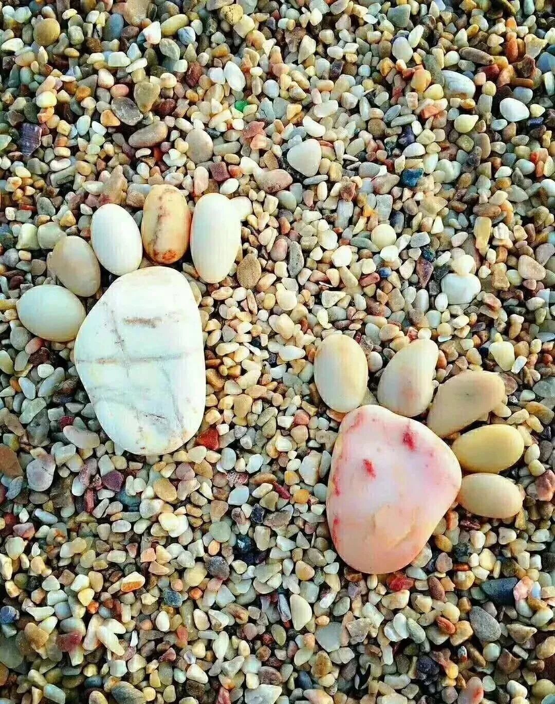 长岛船票_长岛船票多少钱一张_长岛船票区别