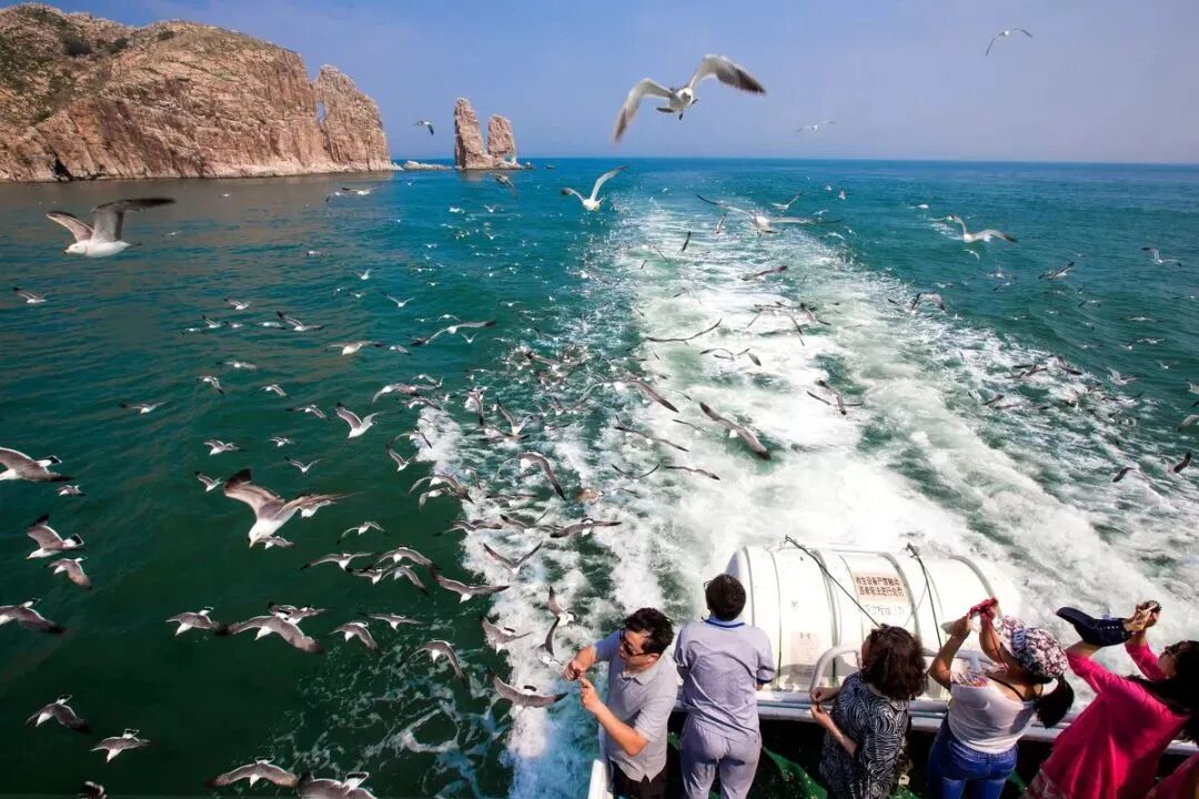 长岛船票_长岛船票区别_长岛船票多少钱一张