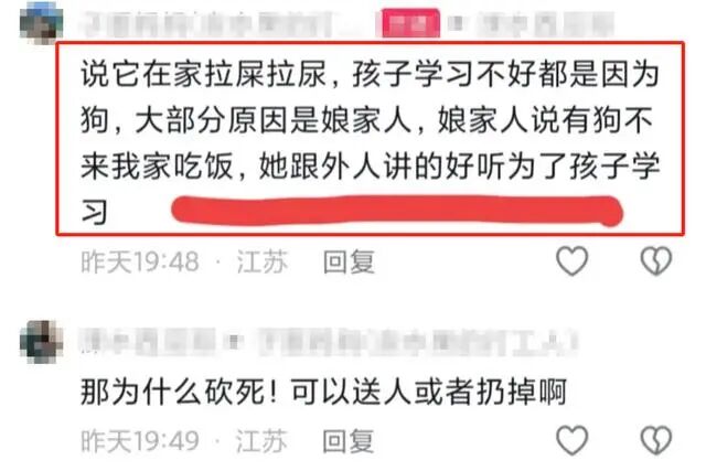 官方回应婆婆连杀儿媳3只宠物狗，监控曝光！