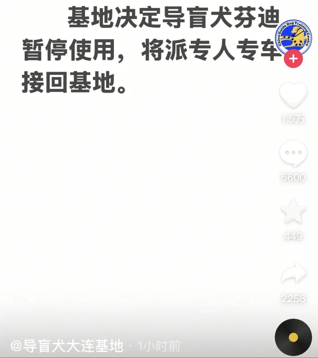 两名盲人带导盲犬爬泰山引争议