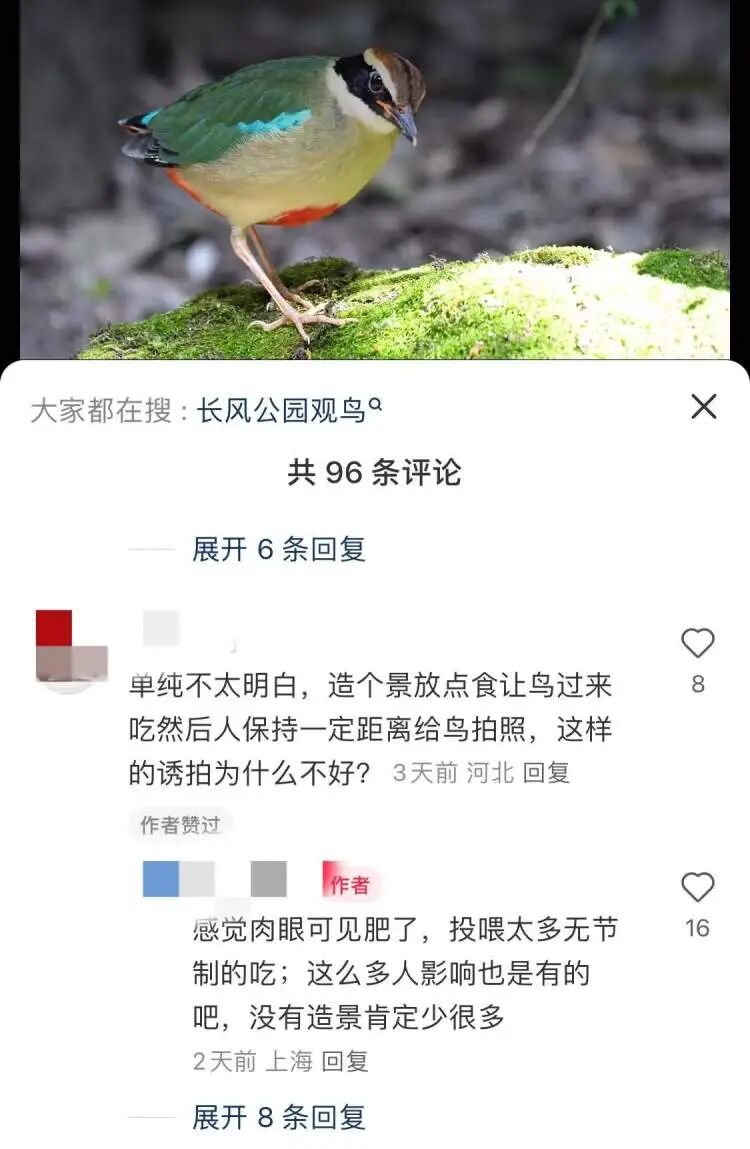 未命名图片