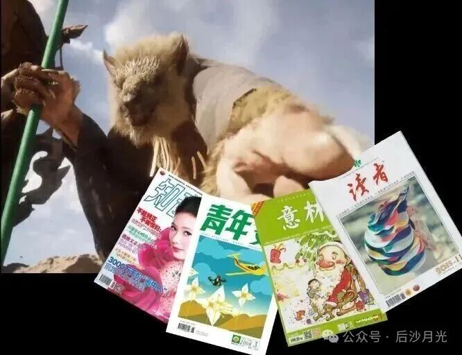 图片