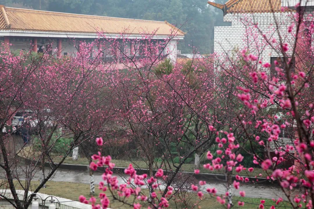 樂山師范學院_樂山師范學院官網_樂山師范學院歡迎你網址