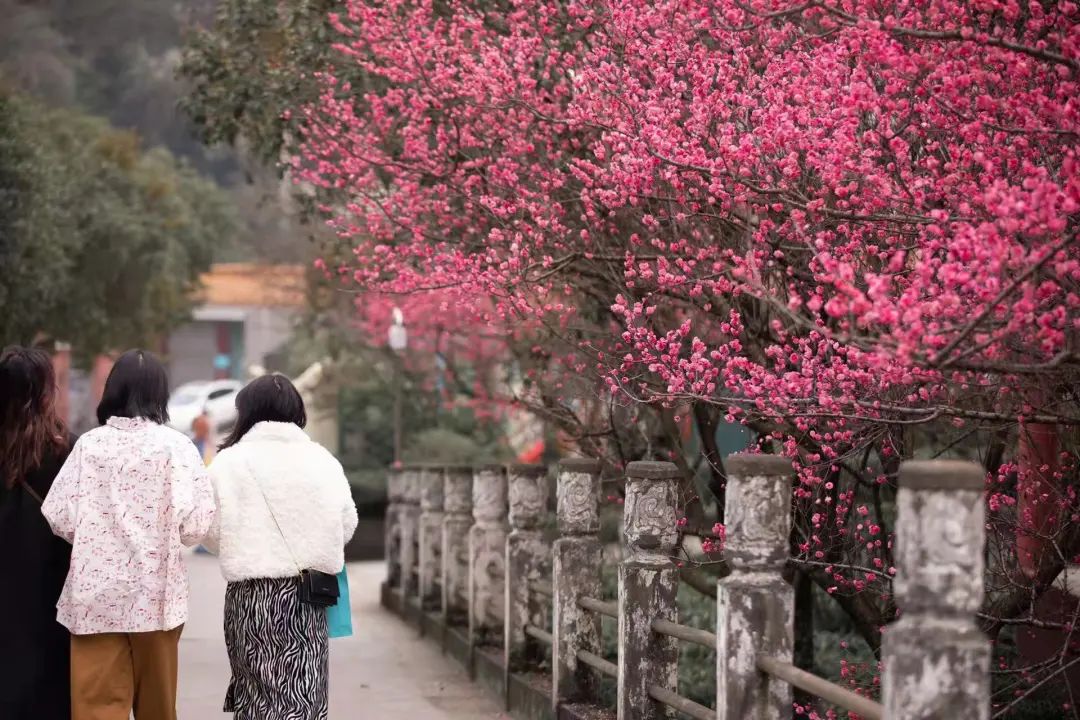 乐山师范学院欢迎你网址_乐山师范学院_乐山师范学院官网