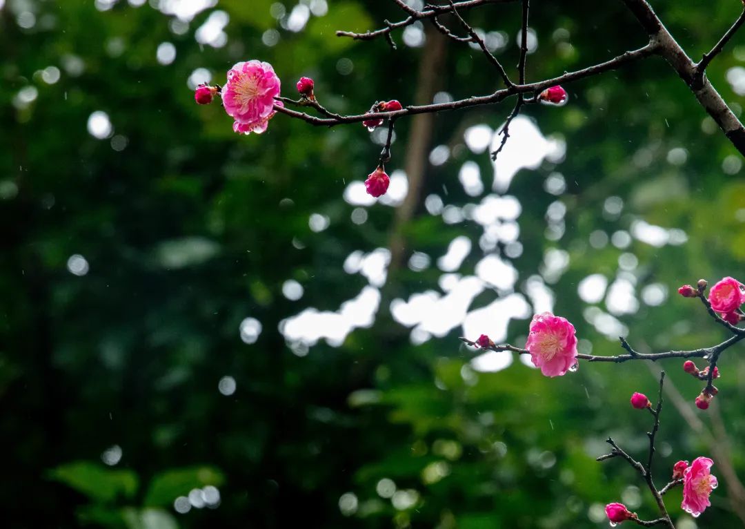 樂山師范學(xué)院_樂山師范學(xué)院官網(wǎng)_樂山師范學(xué)院歡迎你網(wǎng)址