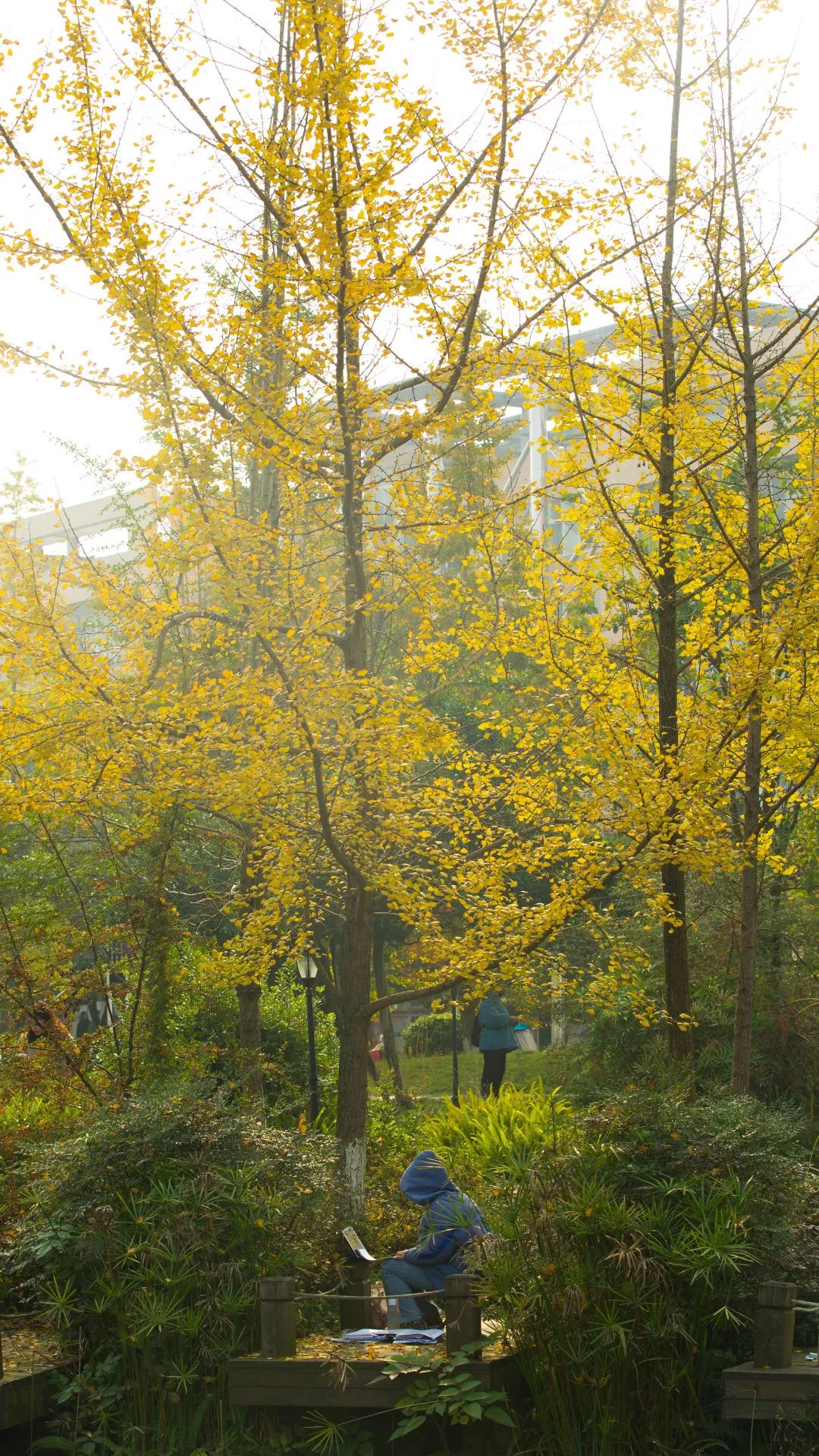 樂山師范學(xué)院_樂山師范學(xué)院官網(wǎng)_樂山師范學(xué)院歡迎你網(wǎng)址