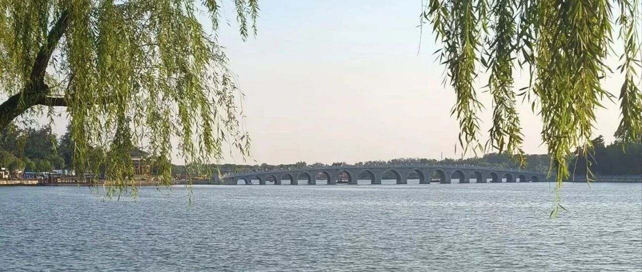 花约来年，蜂言来生，写尽人间聚散