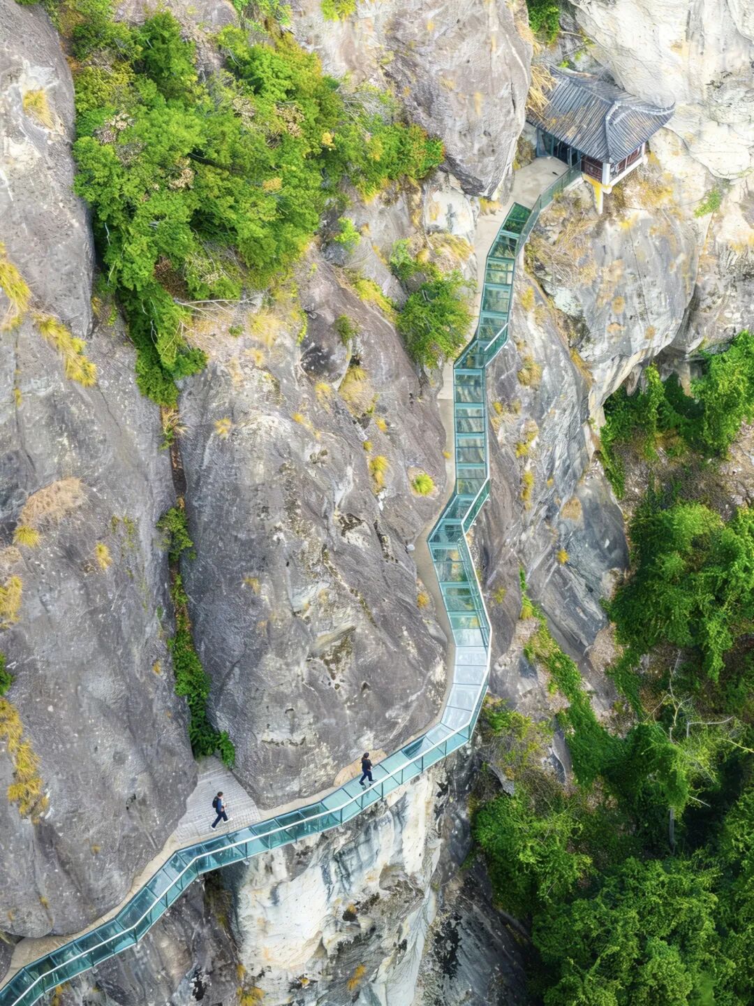 顾川-4.png