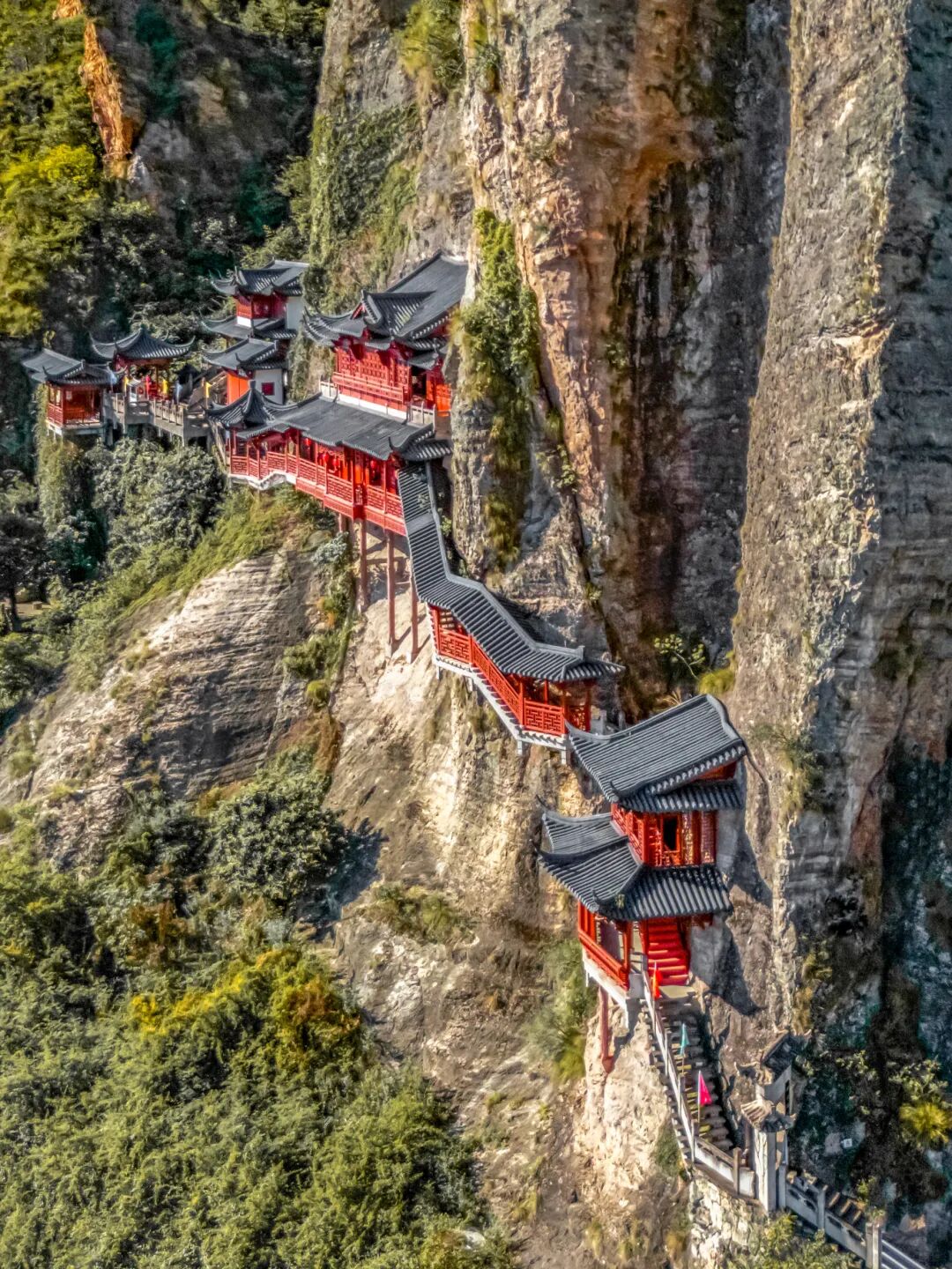 小杨芋-6.jpg
