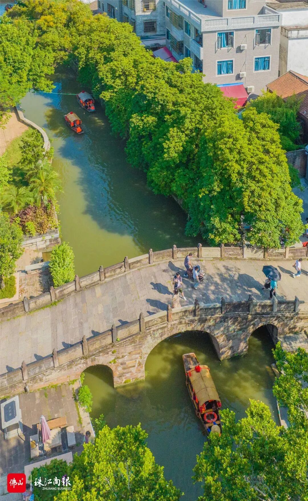 杏坛逢简水乡景区，图/珠江商报周焯杰