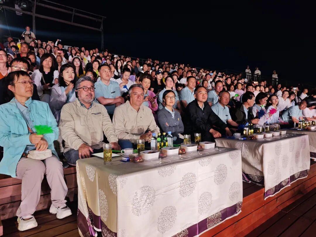 欢迎仪式观看演出.jpg