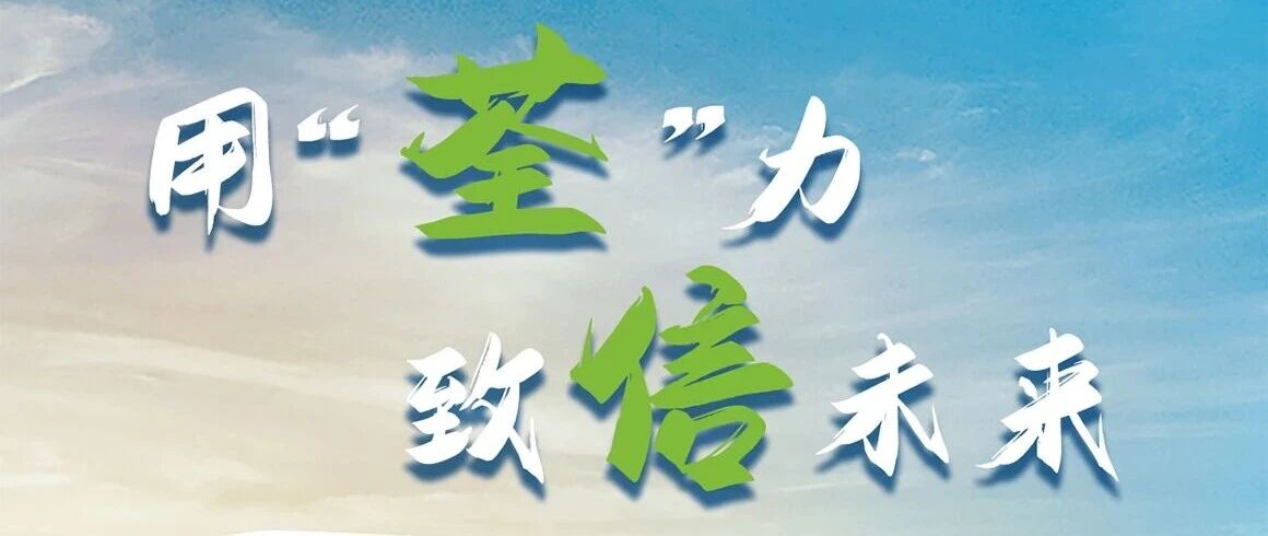 荃信生物26届春招