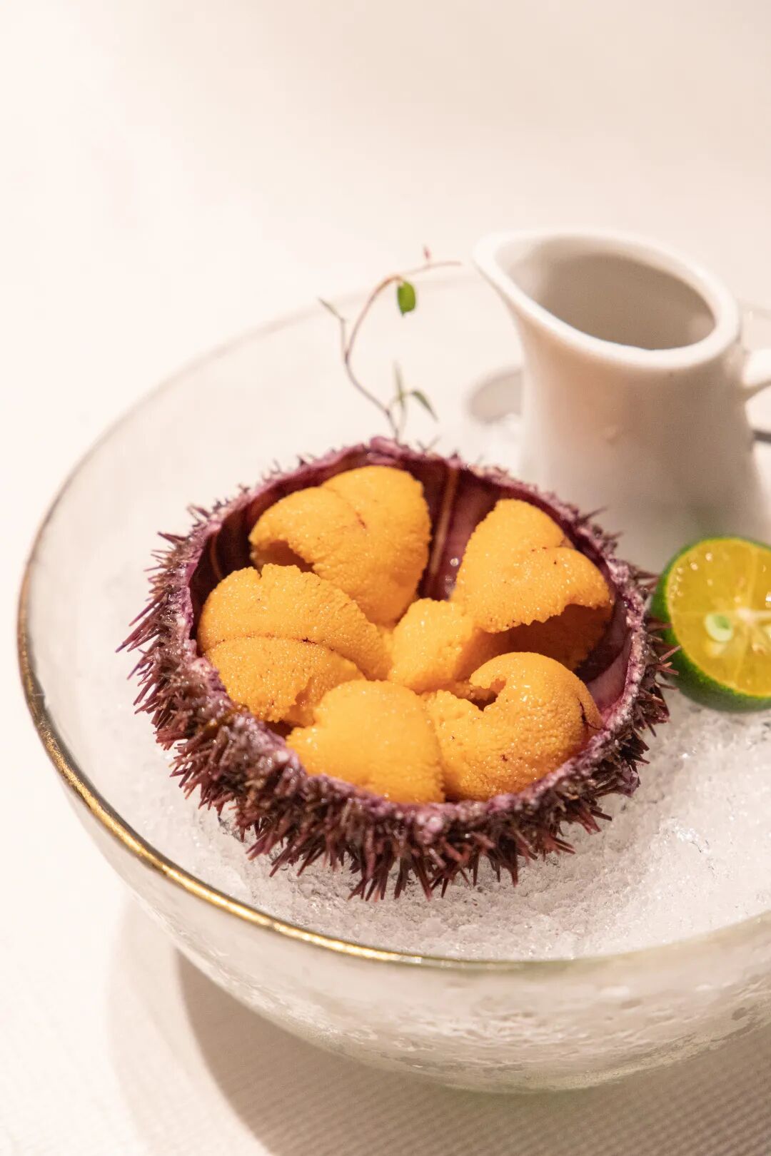 闽味100｜茅台作汤底，这家餐厅的火锅食材来自世界各地！