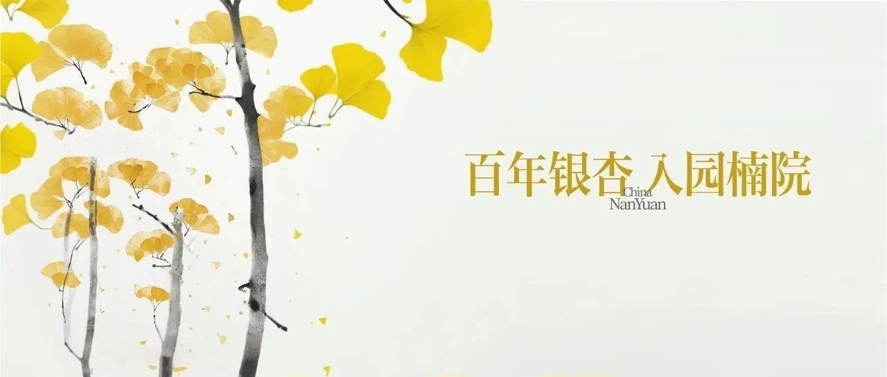 cover_image