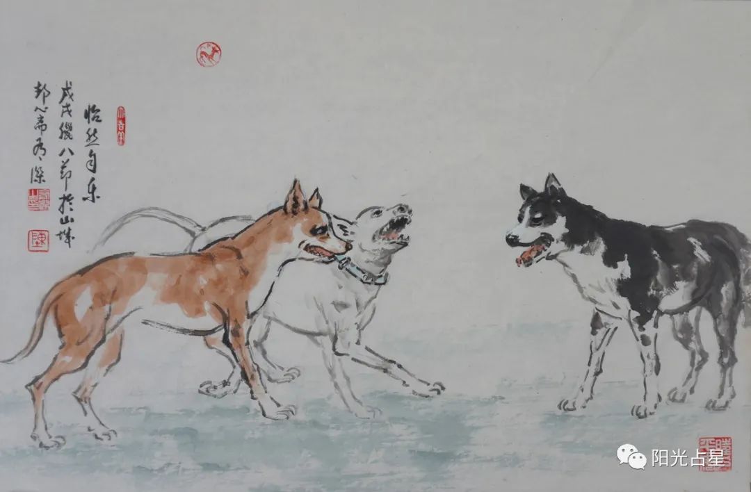 十二生肖看家护院动物_看家护院是什么生肖动物_看家护院什么动物