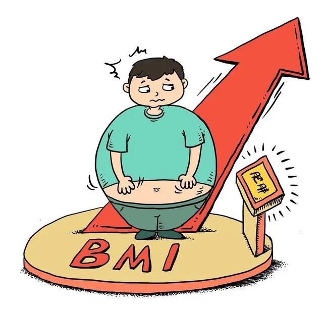 健康減肥的最好方法_健康減肥方法_減肥最健康有效的方法是什么