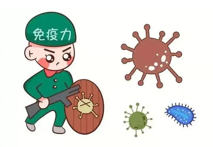 流感经常中招?怎么吃才能提高免疫力?医生:六个吃法提高免疫力
