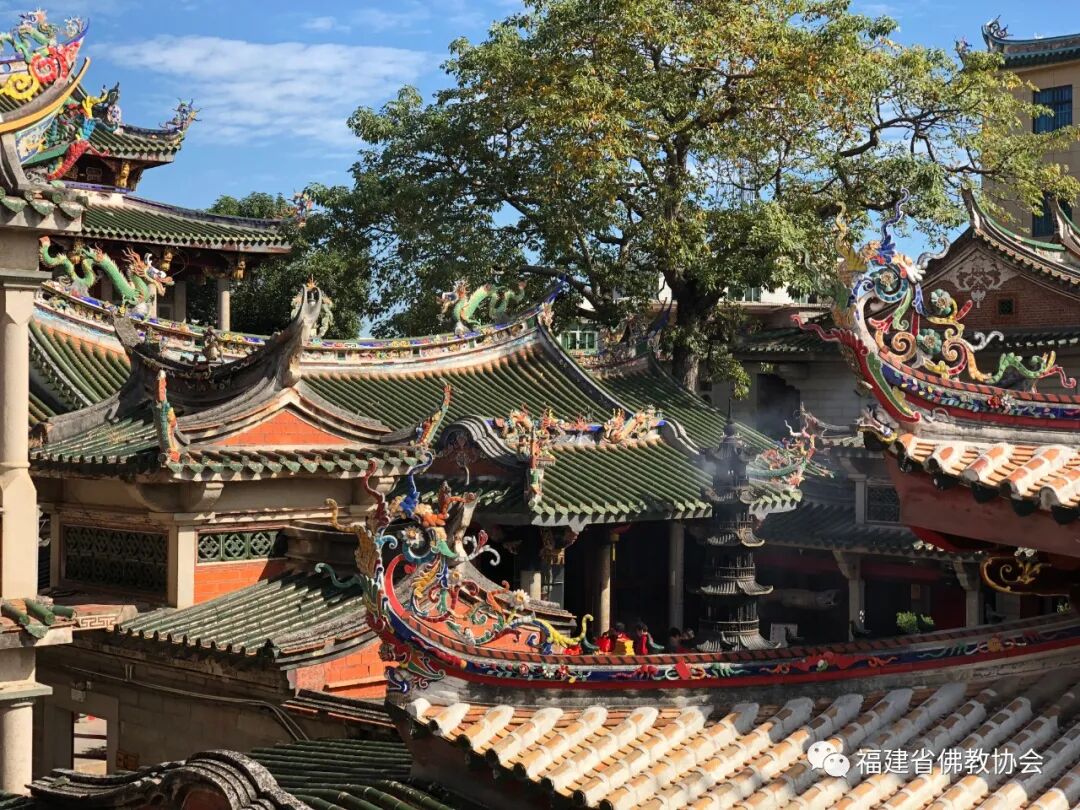 云赏•闽中伽蓝 ▍晋江安海龙山寺