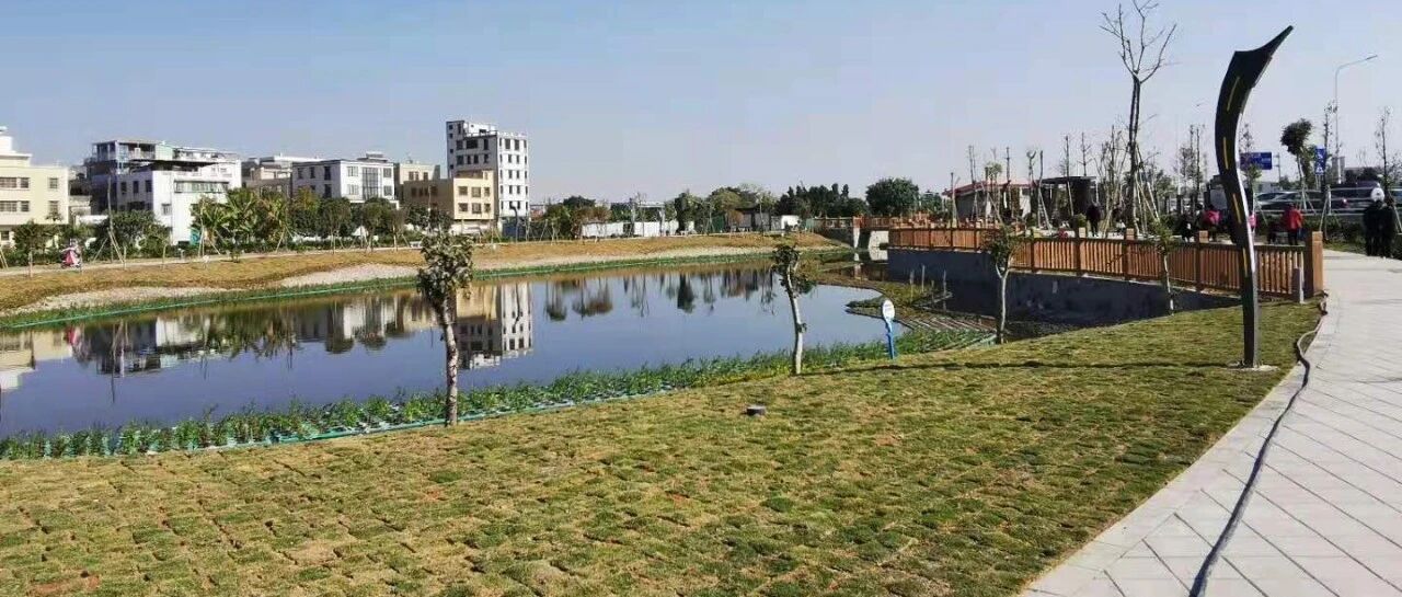 东池公园新开放   水清岸绿惠民生