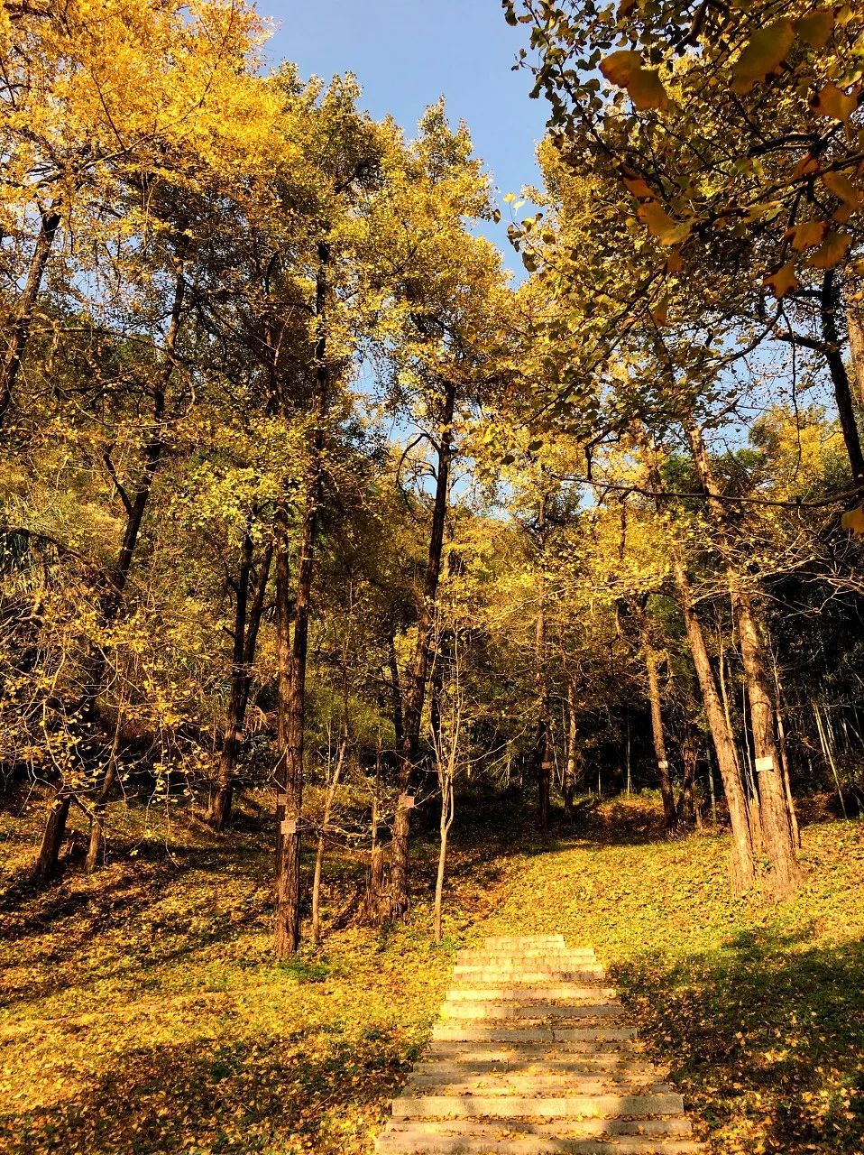 《三十而已》顧佳茶園取景地曝光：真正隱秘的避世桃源，相見恨晚的寶藏之地！ 旅遊 第20張