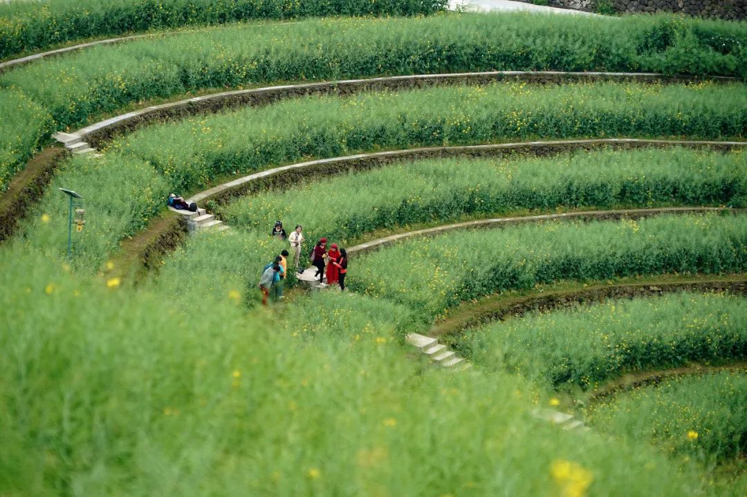 《三十而已》顧佳茶園取景地曝光：真正隱秘的避世桃源，相見恨晚的寶藏之地！ 旅遊 第16張