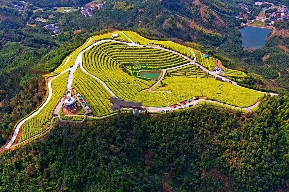 《三十而已》顧佳茶園取景地曝光：真正隱秘的避世桃源，相見恨晚的寶藏之地！ 旅遊 第18張