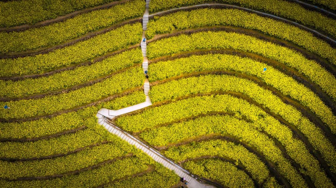 《三十而已》顧佳茶園取景地曝光：真正隱秘的避世桃源，相見恨晚的寶藏之地！ 旅遊 第19張