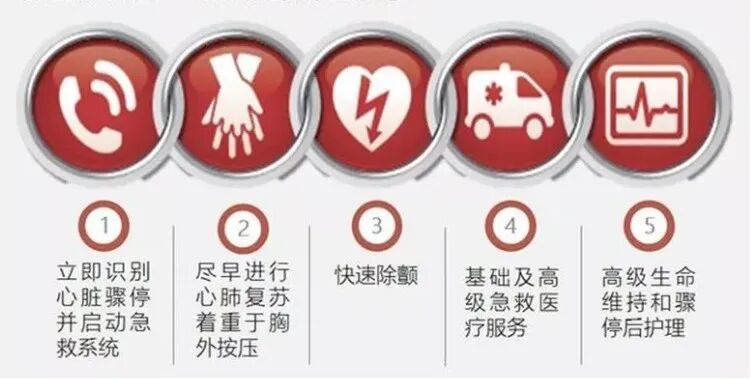 心肺复苏数字怎么数世界急救日——数字赋能、救在身边_https://www.jmylbn.com_新闻资讯_第9张