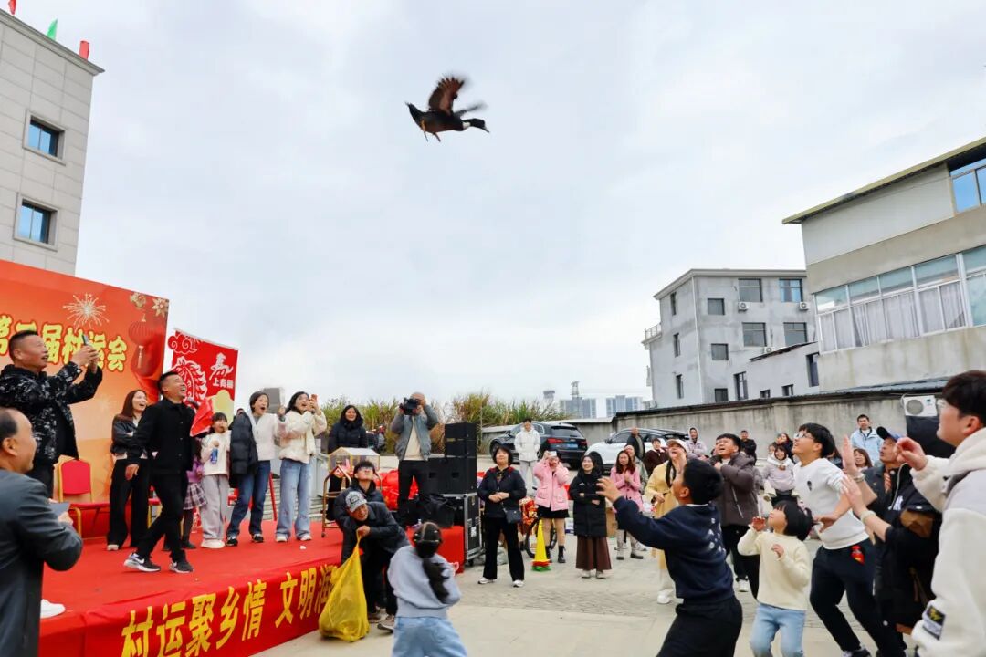 “花式”过节！连江这场“村运会”太欢乐了！