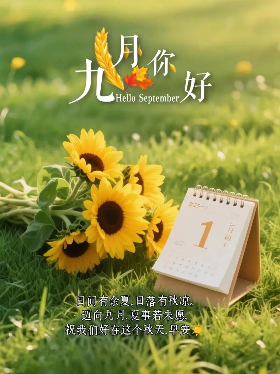 当周一撞上每月一号
