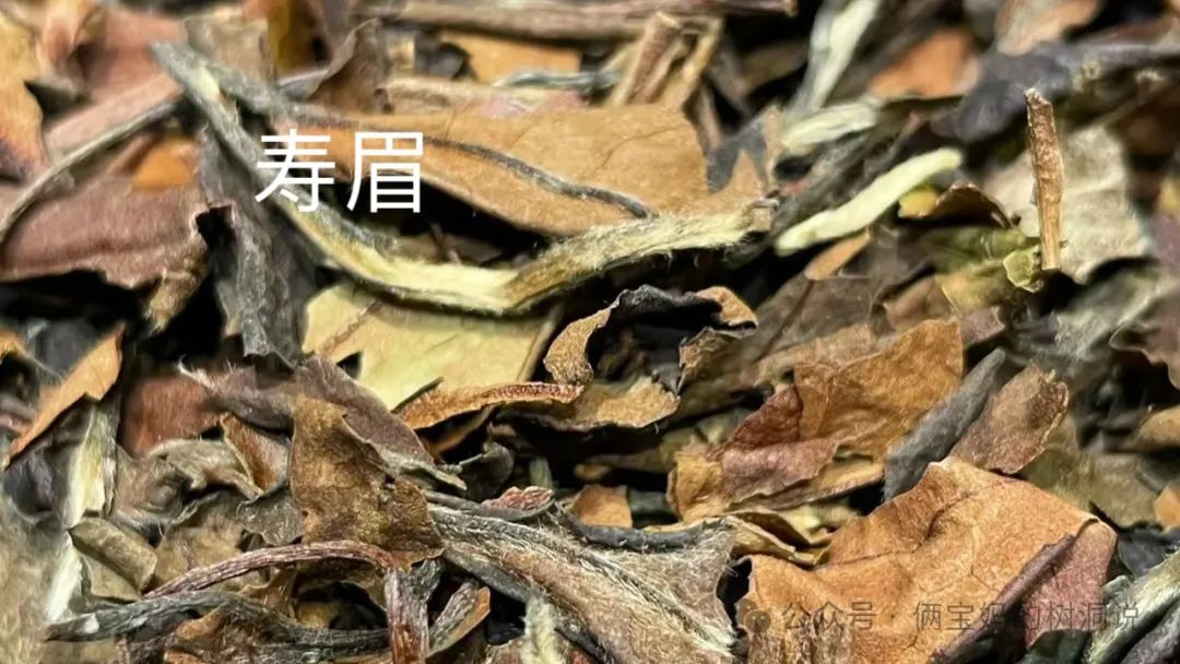 白茶保质期一般多久