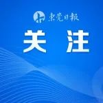 多了3万人，东莞的学位够吗？市教育局回应...