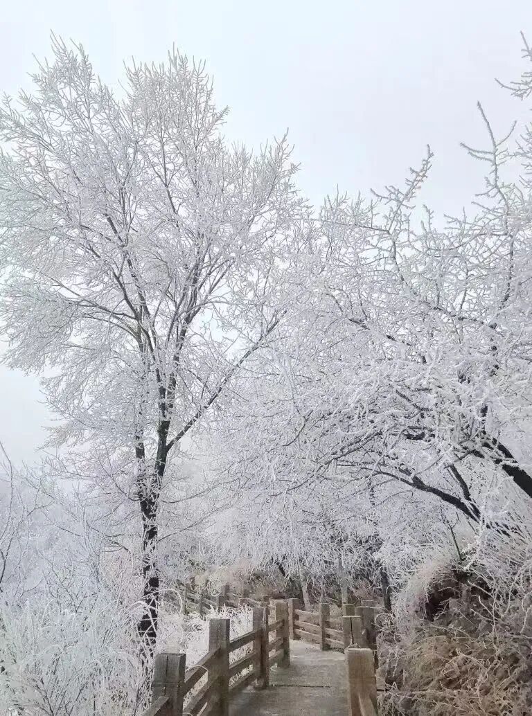 北京今晚到明天还有雪！3月为什么还有鹅毛大雪？专家解读(图2)