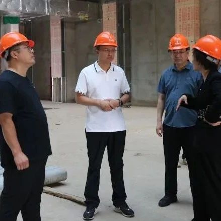 县委书记李东健一线调研项目建设