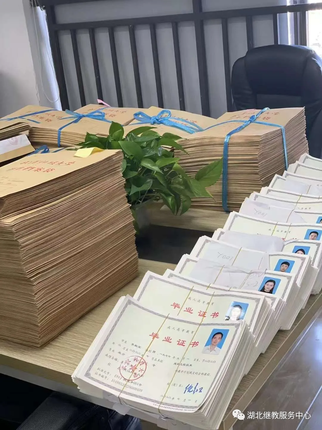 2024年武漢設(shè)計(jì)工程學(xué)院錄取分?jǐn)?shù)線及要求_武漢設(shè)計(jì)工程學(xué)院入取分?jǐn)?shù)_武漢設(shè)計(jì)工程學(xué)院本科分?jǐn)?shù)線